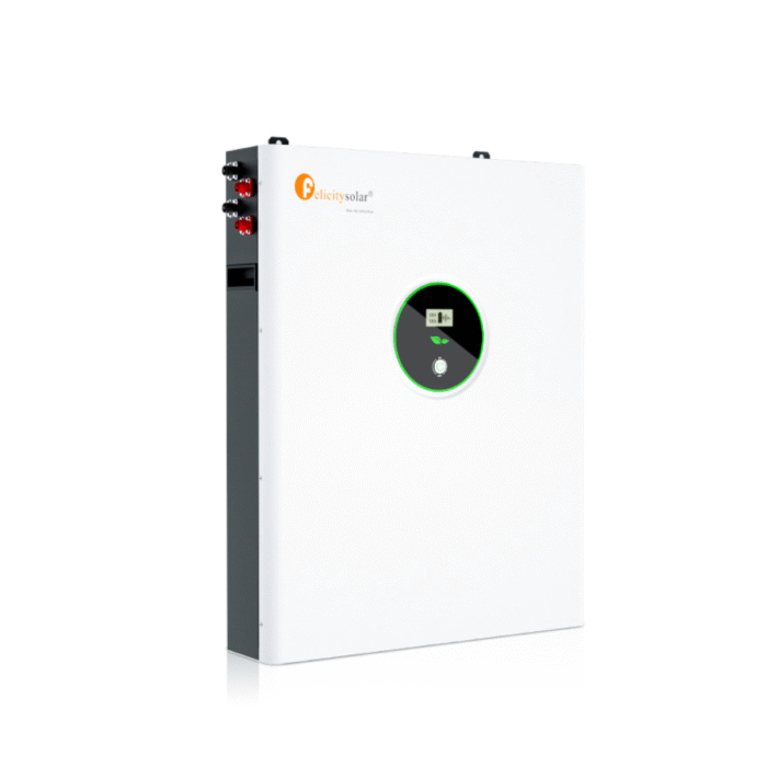 Litio Felicity 200Ah 48V