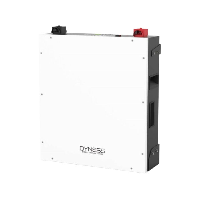 Dyness 100Ah 48v