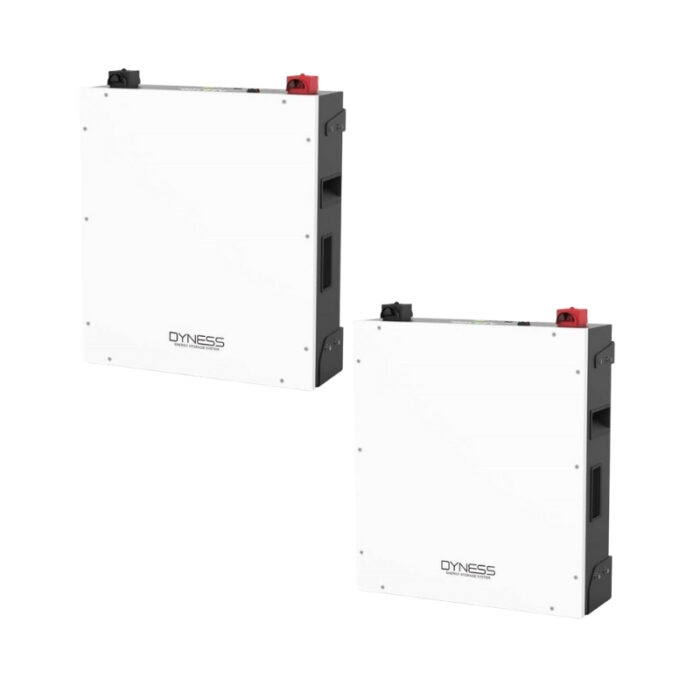 Promo X2 Baterías Litio 100Ah 48V 5,12kWh Dyness